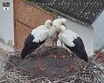 Capi_Dubne_20250804_190503.jpg