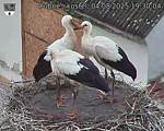 Capi_Dubne_20250804_193004.jpg