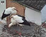 Capi_Dubne_20250804_194002.jpg