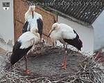Capi_Dubne_20250804_195003.jpg