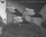Capi_Dubne_20250804_211502.jpg
