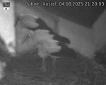 Capi_Dubne_20250804_212003.jpg