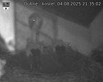 Capi_Dubne_20250804_213502.jpg