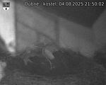 Capi_Dubne_20250804_215002.jpg