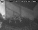 Capi_Dubne_20250804_223503.jpg
