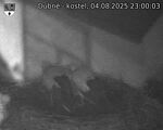 Capi_Dubne_20250804_230003.jpg