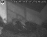 Capi_Dubne_20250804_231502.jpg