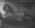 Capi_Dubne_20250804_234003.jpg