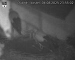 Capi_Dubne_20250804_235502.jpg