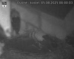 Capi_Dubne_20250805_000003.jpg
