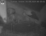 Capi_Dubne_20250805_003502.jpg
