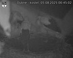 Capi_Dubne_20250805_004503.jpg