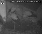 Capi_Dubne_20250805_010002.jpg