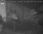 Capi_Dubne_20250805_011003.jpg