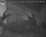 Capi_Dubne_20250805_020502.jpg