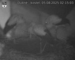 Capi_Dubne_20250805_021503.jpg