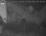 Capi_Dubne_20250805_023002.jpg
