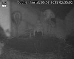Capi_Dubne_20250805_023502.jpg