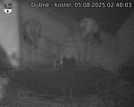 Capi_Dubne_20250805_024003.jpg