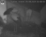 Capi_Dubne_20250805_030003.jpg