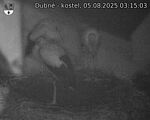 Capi_Dubne_20250805_031503.jpg