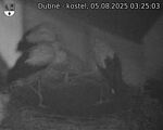 Capi_Dubne_20250805_032503.jpg