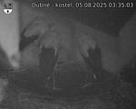 Capi_Dubne_20250805_033503.jpg