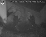 Capi_Dubne_20250805_034002.jpg