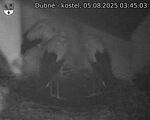 Capi_Dubne_20250805_034503.jpg