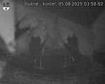 Capi_Dubne_20250805_035002.jpg