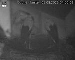 Capi_Dubne_20250805_040002.jpg