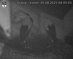 Capi_Dubne_20250805_040503.jpg