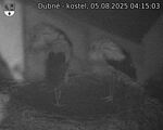 Capi_Dubne_20250805_041503.jpg