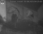 Capi_Dubne_20250805_042503.jpg
