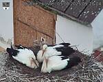 Capi_Dubne_20250805_092004.jpg