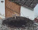 Capi_Dubne_20250805_093503.jpg
