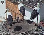 Capi_Dubne_20250805_130503.jpg