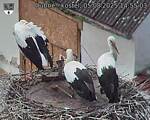 Capi_Dubne_20250805_145503.jpg