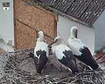 Capi_Dubne_20250805_150502.jpg