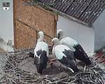 Capi_Dubne_20250805_151003.jpg