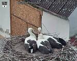 Capi_Dubne_20250805_152002.jpg