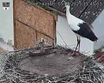 Capi_Dubne_20250805_154503.jpg