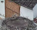 Capi_Dubne_20250805_161503.jpg