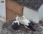Capi_Dubne_20250805_163503.jpg