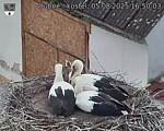 Capi_Dubne_20250805_165003.jpg