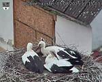 Capi_Dubne_20250805_171503.jpg