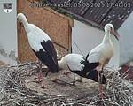 Capi_Dubne_20250805_174003.jpg