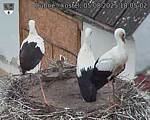 Capi_Dubne_20250805_180502.jpg
