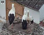 Capi_Dubne_20250805_181003.jpg