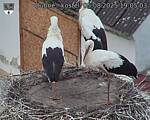 Capi_Dubne_20250805_190503.jpg
